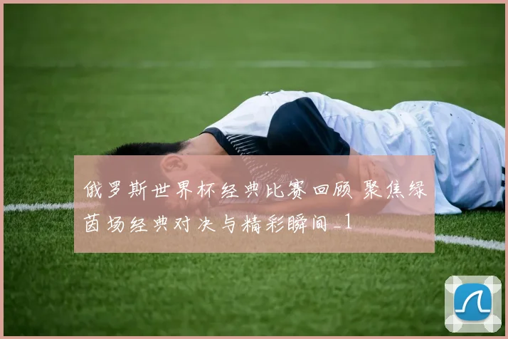 俄罗斯世界杯经典比赛回顾 聚焦绿茵场经典对决与精彩瞬间_1