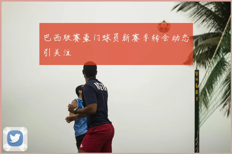巴西联赛豪门球员新赛季转会动态引关注